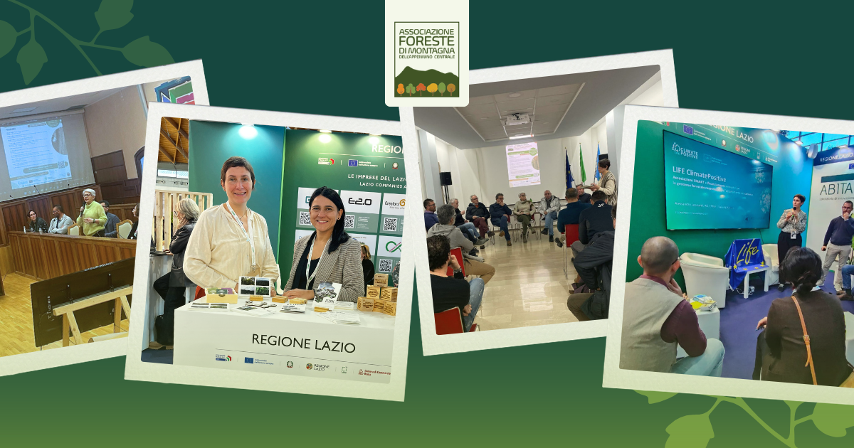 Dalla gestione sostenibile alle collaborazioni: le attività dell’Associazione Foreste dell’Appennino
